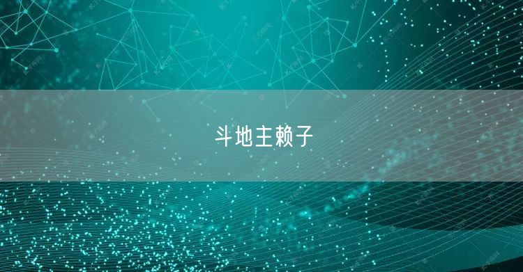 斗地主赖子